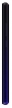 VERTEX NEW Impress Lion Dual Cam