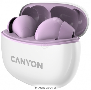 Canyon CNS-TWS5PU