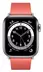 Apple Watch Series 6 GPS + Cellular 40mm Stainless Steel Case with Modern Buckle