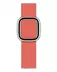 Apple Watch Series 6 GPS + Cellular 40mm Stainless Steel Case with Modern Buckle