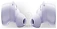 Bose QuietComfort Earbuds 2024 ()