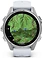 Garmin Fenix 8 43mm