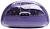 JBL Tune Flex 2 Ghost ()