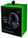 Razer Kraken X Essential