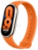 Xiaomi Smart Band 8 (  ,)