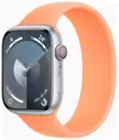 Apple Watch Series 9 LTE 45  ( ,  )