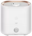 Xiaomi Deerma DEM-ST635W