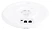 Ubiquiti UniFi AC HD (UAP-AC-HD)